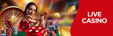 8672 4d Blackjack Speed